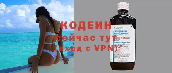 шишки Михайловск