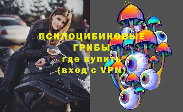 прущая мука Аркадак